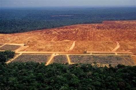 Amazon Rainforest Tipping Point Is Closer Than Ever Data Shows Earthorg