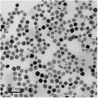 Tem Images Of Cuboctahedral Pt Ncs A Low Magnification Tem Image Of