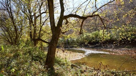 The Strand The Parklands Of Floyds Fork