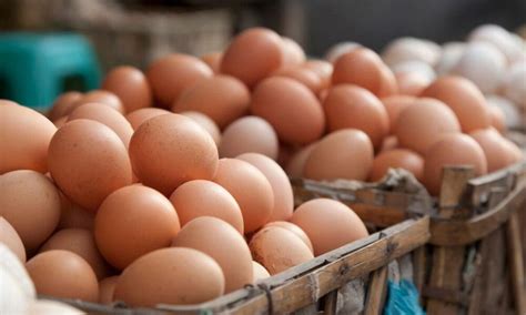 Approval Granted To Import 30 Million More Eggs For The Festive Season