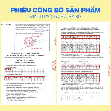 Kem T Y L Ng Chuy N V Ng Vi N Bikini Cleo G Francia Beauty