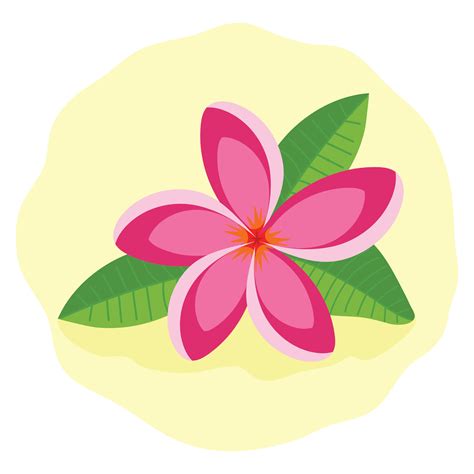 Rosado Frangipani O Plumeria Tropical Flor Vector En Vecteezy