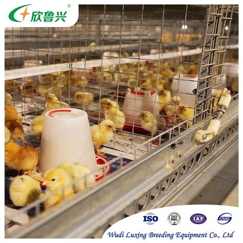 Automatic Livestock Chicken Plastic Broiler Feeder Feeding Line System