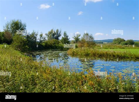 Grassy Shore Of Altmuhlsee Lake Stock Photo Alamy