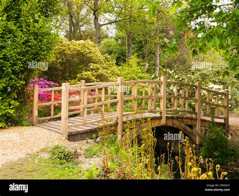 A Bridge Over The Stream In The Japanese Garden With Azaleas And