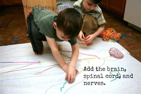 Nervous System Lesson With Printable Game Nervous System Lesson