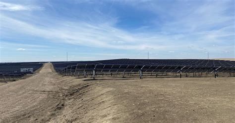 Massive Solar Project In Southern Alberta Nearly Complete Globalnewsca