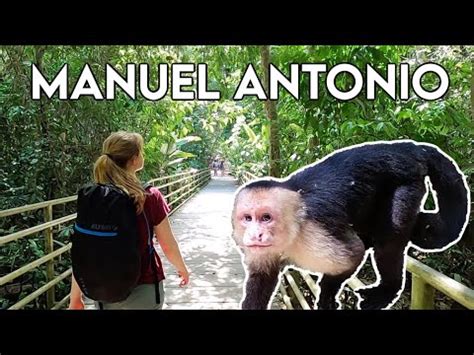 Monkey Hike And Snorkeling In Manuel Antonio National Park Costa Rica