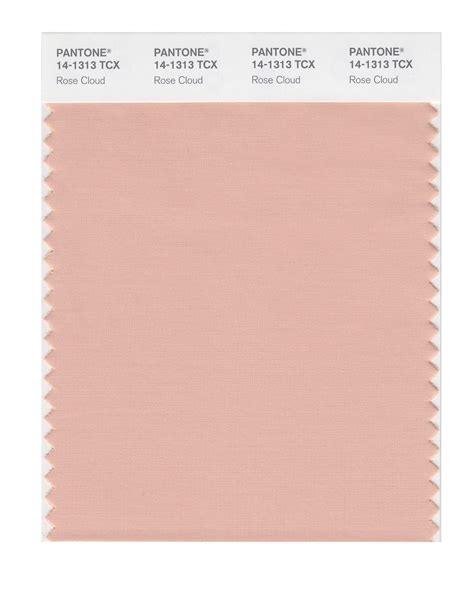 Pantone Smart Color Swatch Card 14 1313 Tcx Rose Cloud Columbia Omni