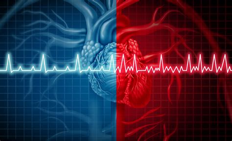 Types Of Heart Disease Pulse Cardiology