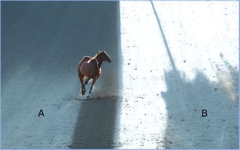 Color Illusion