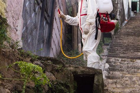 Un Caso Di Dengue Al Santa Chiara Di Pisa Disinfestazione Urgente