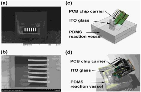 Microcantilever Sensors For Biochemical Detection