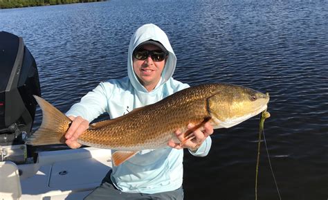 The Best Lures For Redfish Surprise Answer With Video Proof