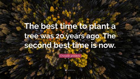 The Best Time To Plant A Tree Quote