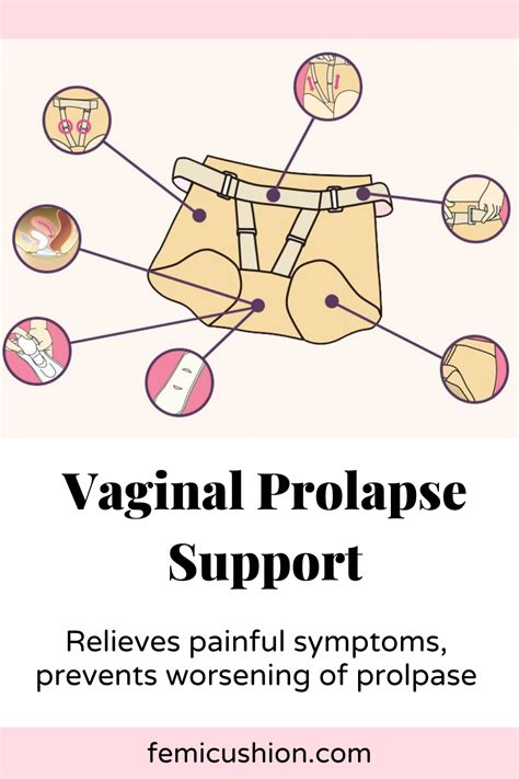 Vaginal Prolapse Support For Bladder Uterus And Rectum Prolapse Artofit