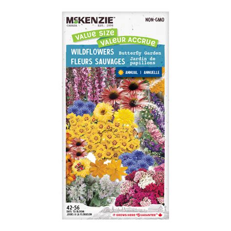 Wildflower Seeds, Butterfly Garden Jumbo Pack – McKenzie Seeds