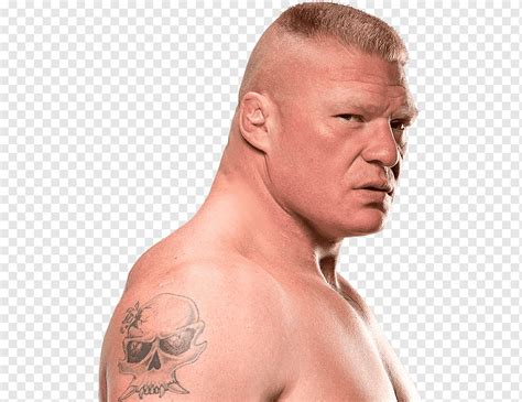 Brock Lesnar Campeonato Mundial De Peso Pesado Wwe Superestrellas Lucha