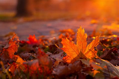 Fall Photography Tips For Autumn Foliage And Landscapes