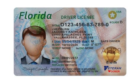 Florida Drivers License Miami Gardens | Fasci Garden