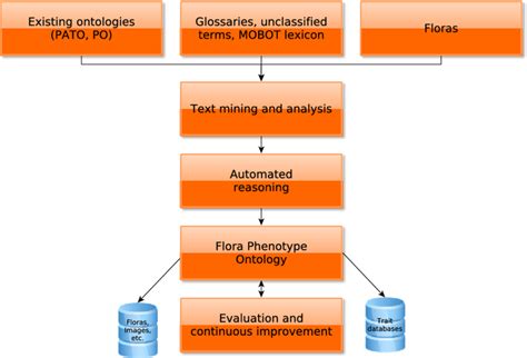 Overview Over The Main Workflow In Generating The Flopo After