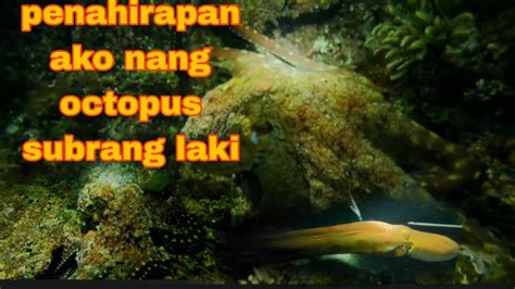 EP48 Penahirapan Ako Nang Octopus Subrang Laki Night Spearfishing