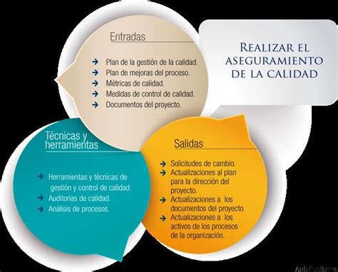 Proceso De Realizar El Aseguramiento De Calidad Gesti N De La