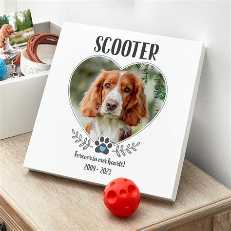 Pet Photo Keepsake Memorial Box | Legacy Lane