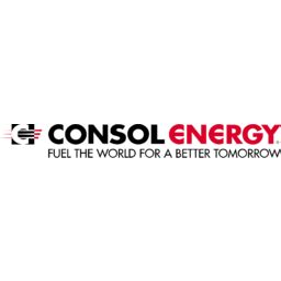 CONSOL Energy (CEIX) - Net Assets