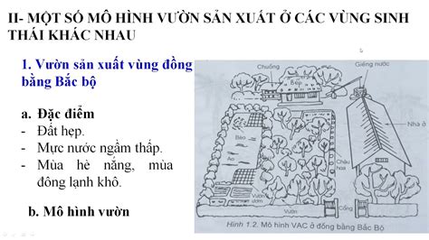 T Ng H P H Nh V M H Nh V N Ng B Ng B C B Daotaonec Edu Vn