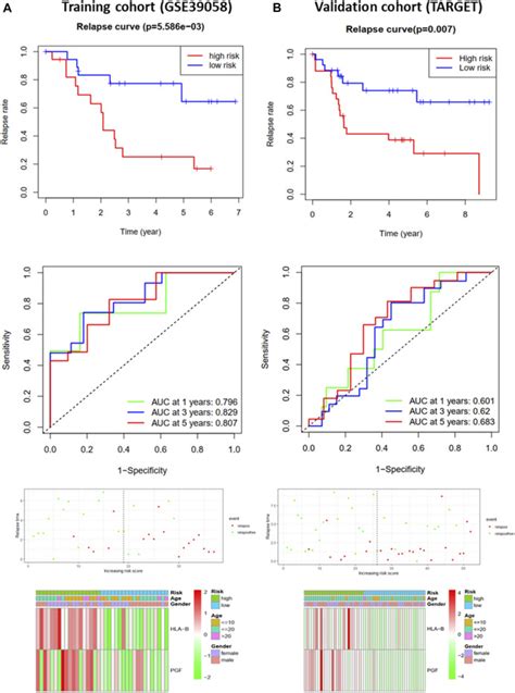 Development And Validation Of Novel Prognostic Models For Immune