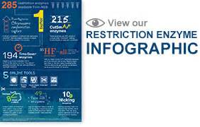 Restriction Endonucleases | NEB