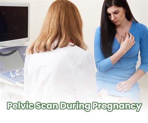 Pelvic Scan During Pregnancy Everything You Need To Know