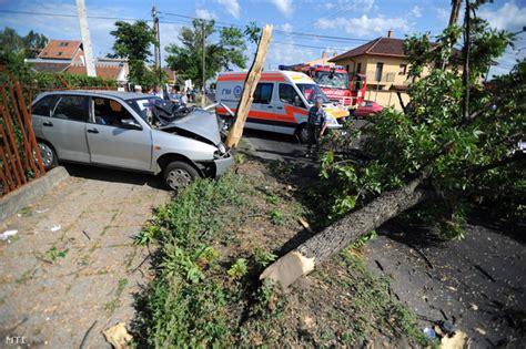 Velvet Blogok Fának ment és beszorult egy autó a XX kerületben