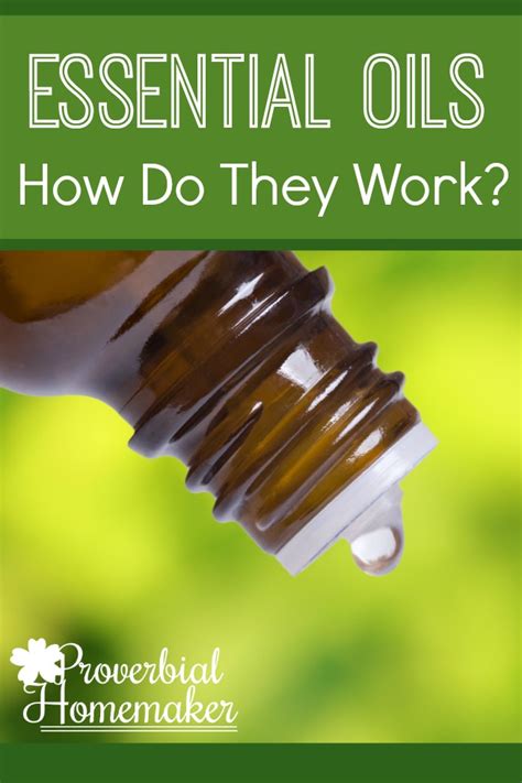 How Do Essential Oils Work Proverbial Homemaker