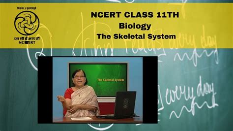 Ncert Cbse Class 11 Biology The Skeletal System Part 2 Youtube