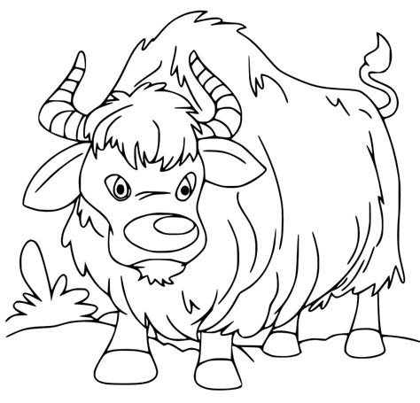 Aggregate More Than Easy Yak Drawing Latest Seven Edu Vn