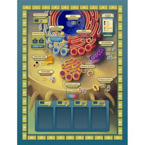 Buy Cytosis Big Box Board Game A Cell Biology Game Exclusive Cards