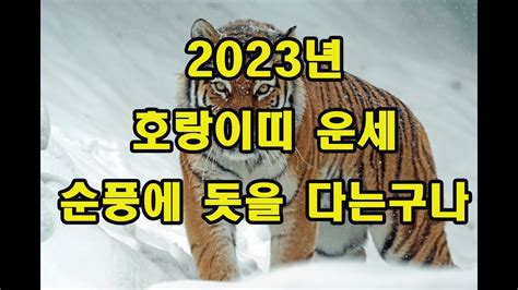 2023년 호랑이띠 운세 Youtube