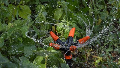 How to Adjust Rotating Sprinkler Heads - Sprinkler Review