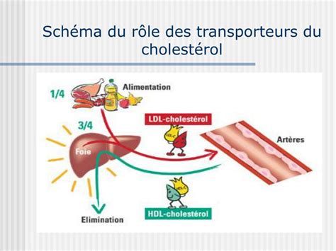 Ppt Le Syndrome M Tabolique Et Ses Alt Rations Pig N Tiques Li Es