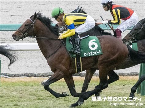 クラヴェル2017年産 競走馬データtop｜競馬予想のウマニティ