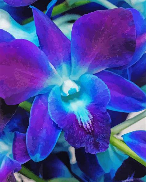 Blue Purple Orchid - Diamond Painting - DiamondPaint.PRO