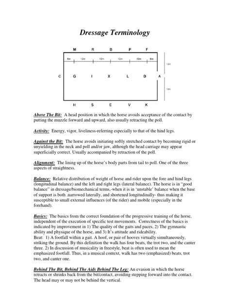 Dressage Terminology | PDF | Horse Gait | Dressage