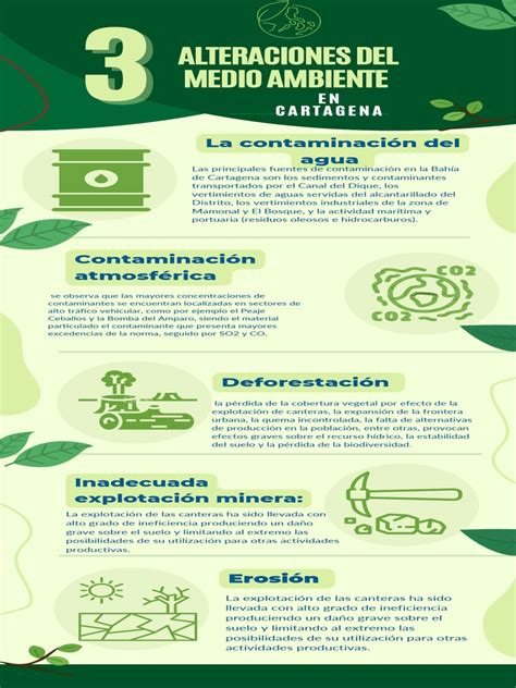 Infografía Sobre Ecología Cuidado Del Medio Ambiente Ilustrado Verde Pdf