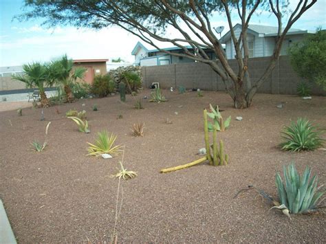 Las Quintas Oasis Rv Resort Yuma Az Rv Parks