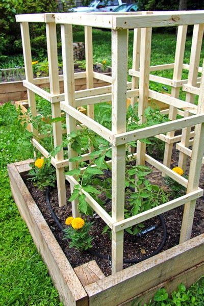 Cheap And Easy Diy Tomato Cages Artofit