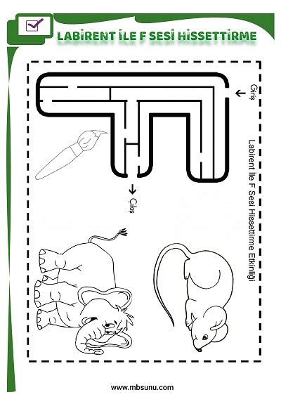 1 Sınıf İlk Okuma Labirent İle F Sesi Hissettirme Etkinliği Mbsunu