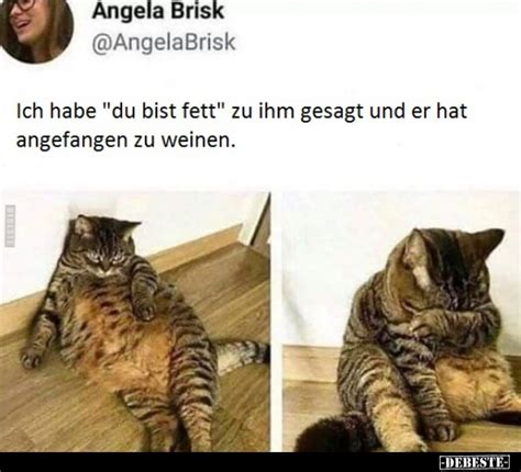 Lustige Bilder Fett Seite Debeste De