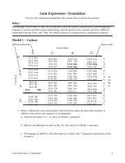 Gene Expression Translation S Docx Gene Expressiontranslation